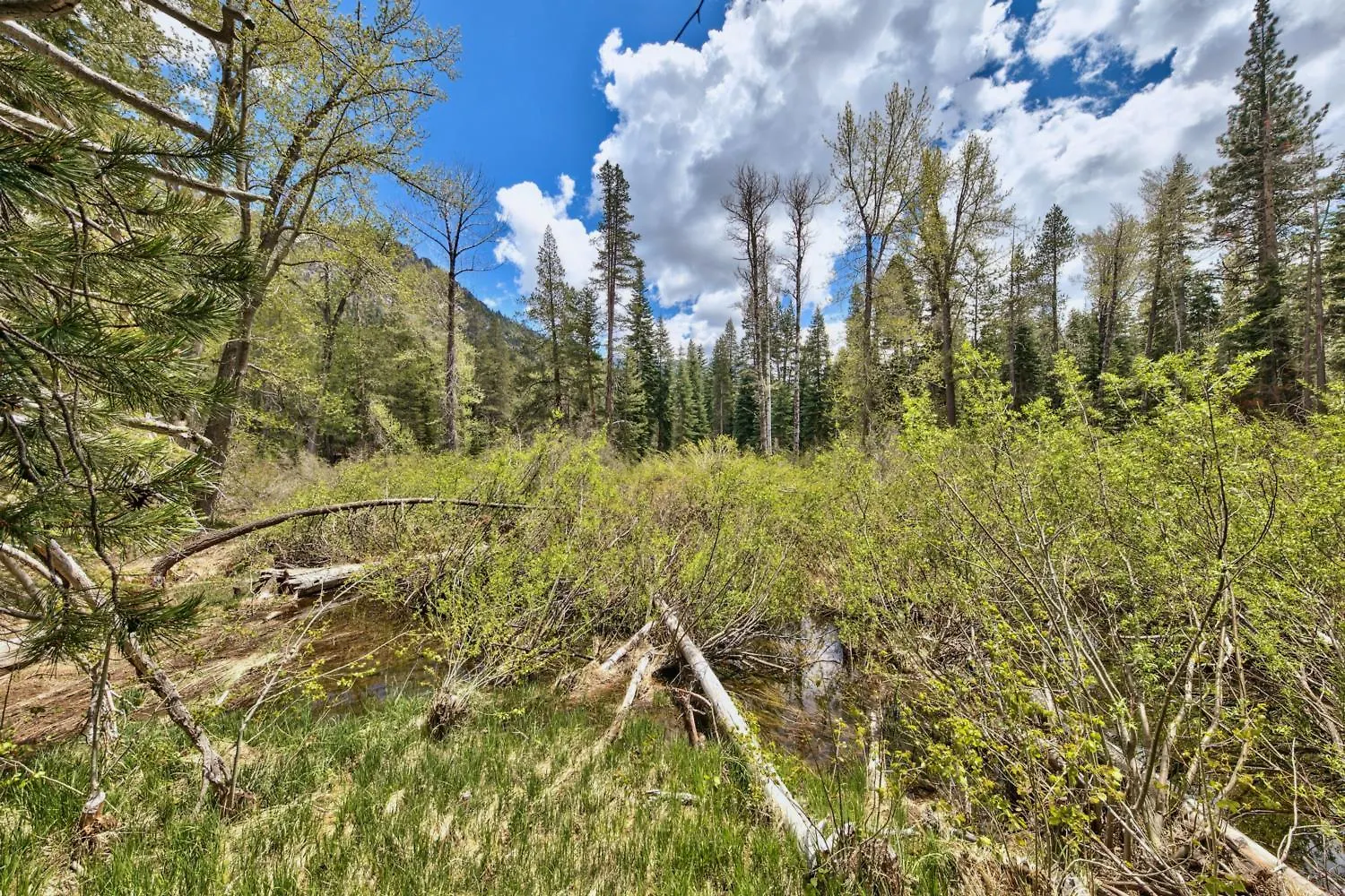 Semesterbostad 3685S River View Retreat South Lake Tahoe