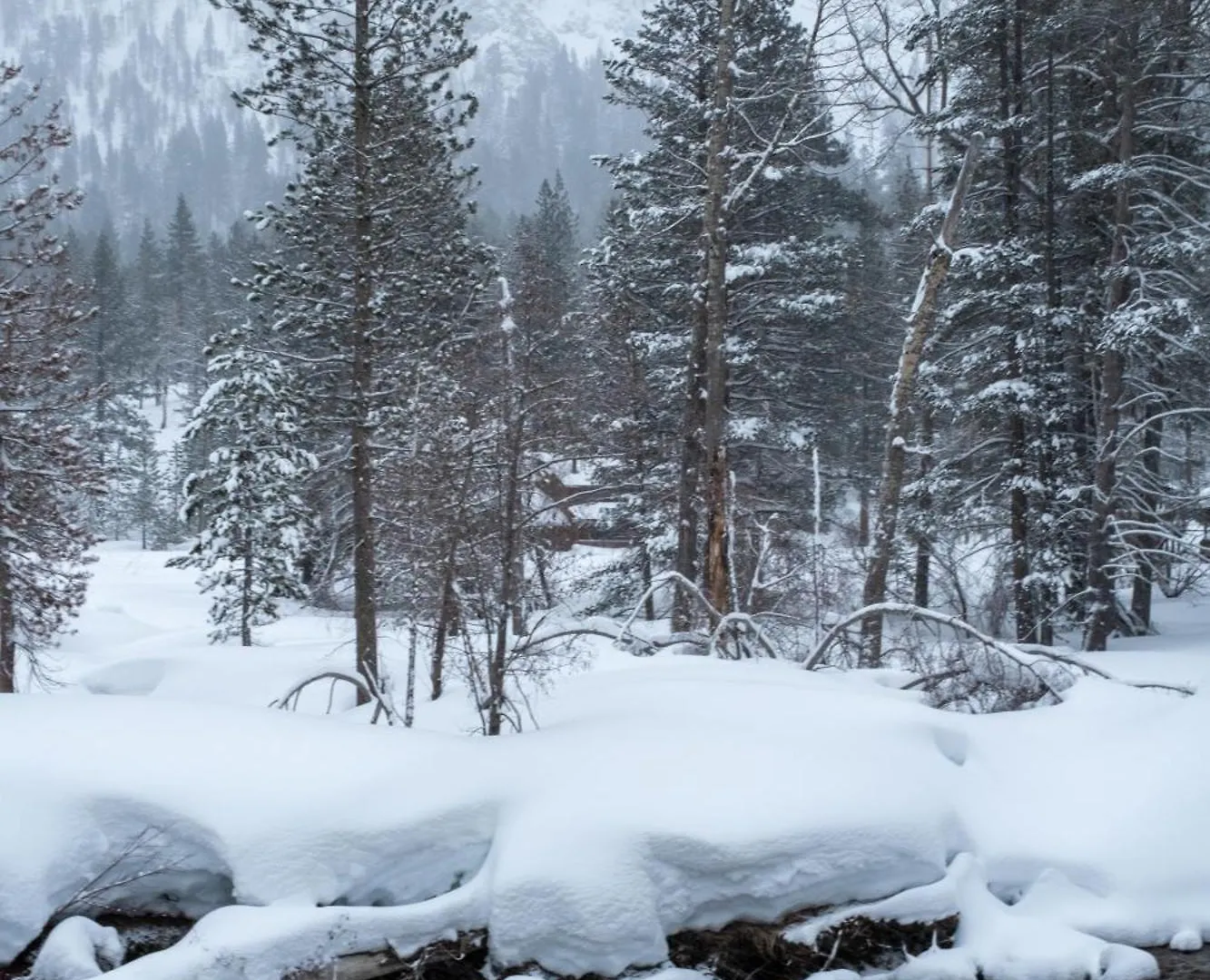 3685S River View Retreat South Lake Tahoe United States