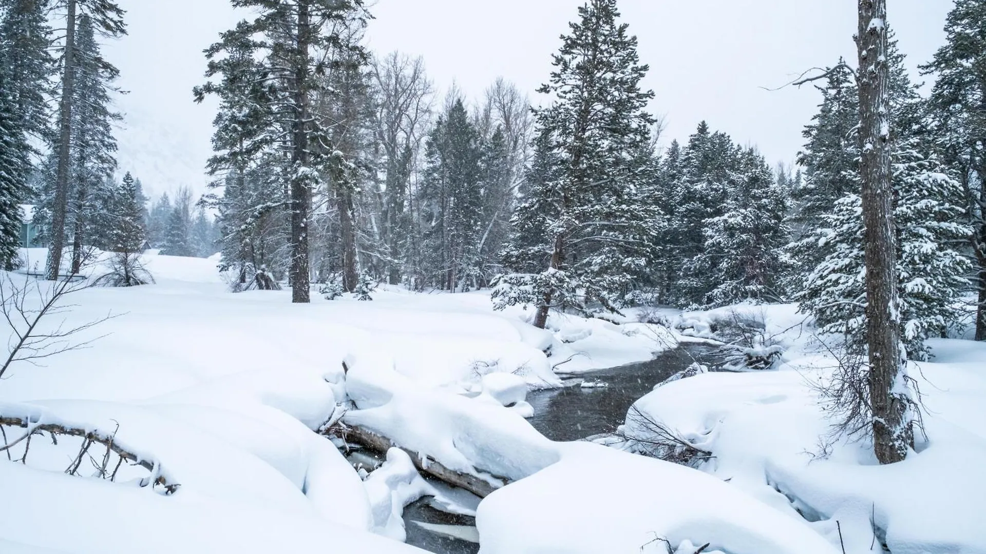 Holiday home 3685S River View Retreat South Lake Tahoe United States