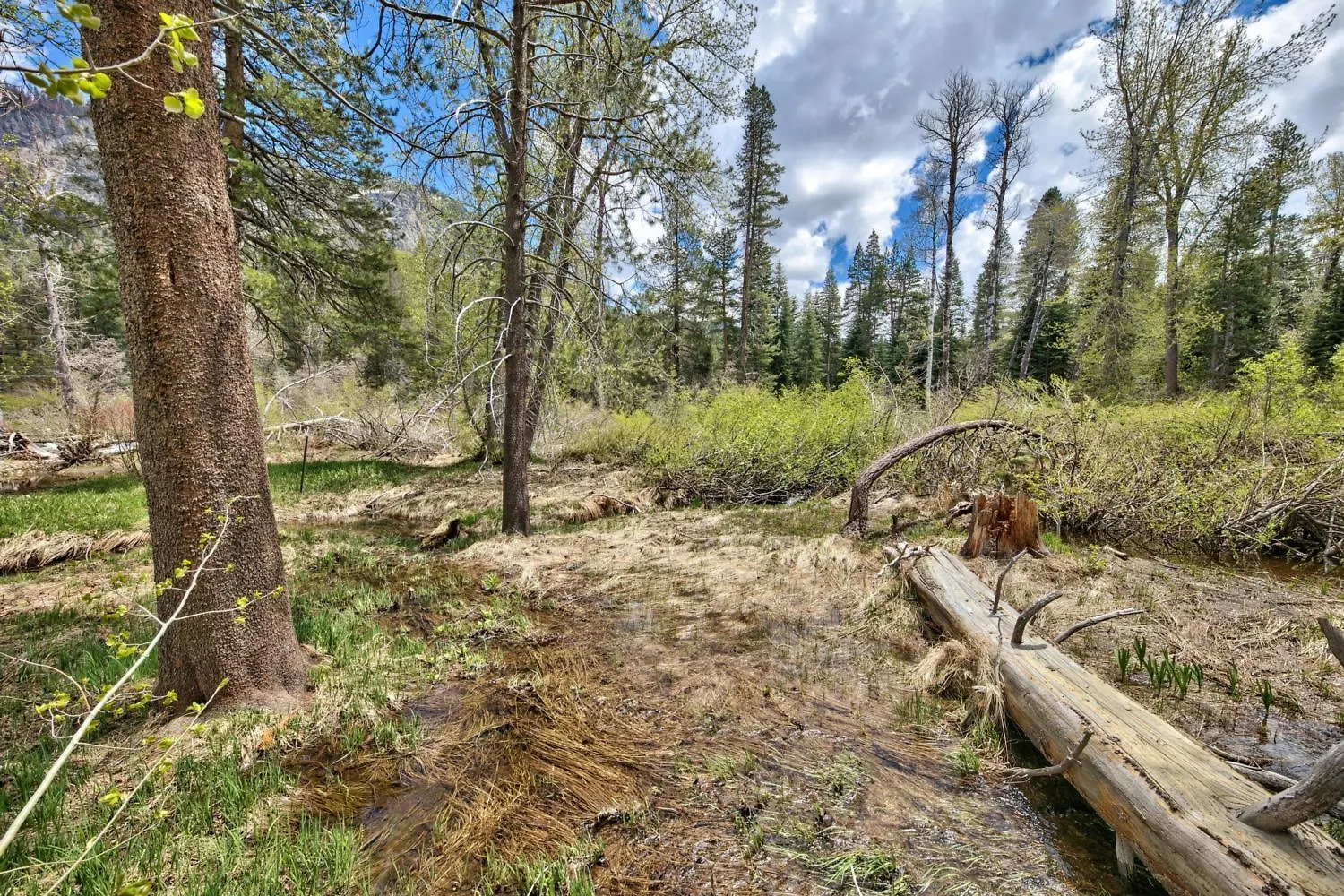 3685S River View Retreat South Lake Tahoe United States
