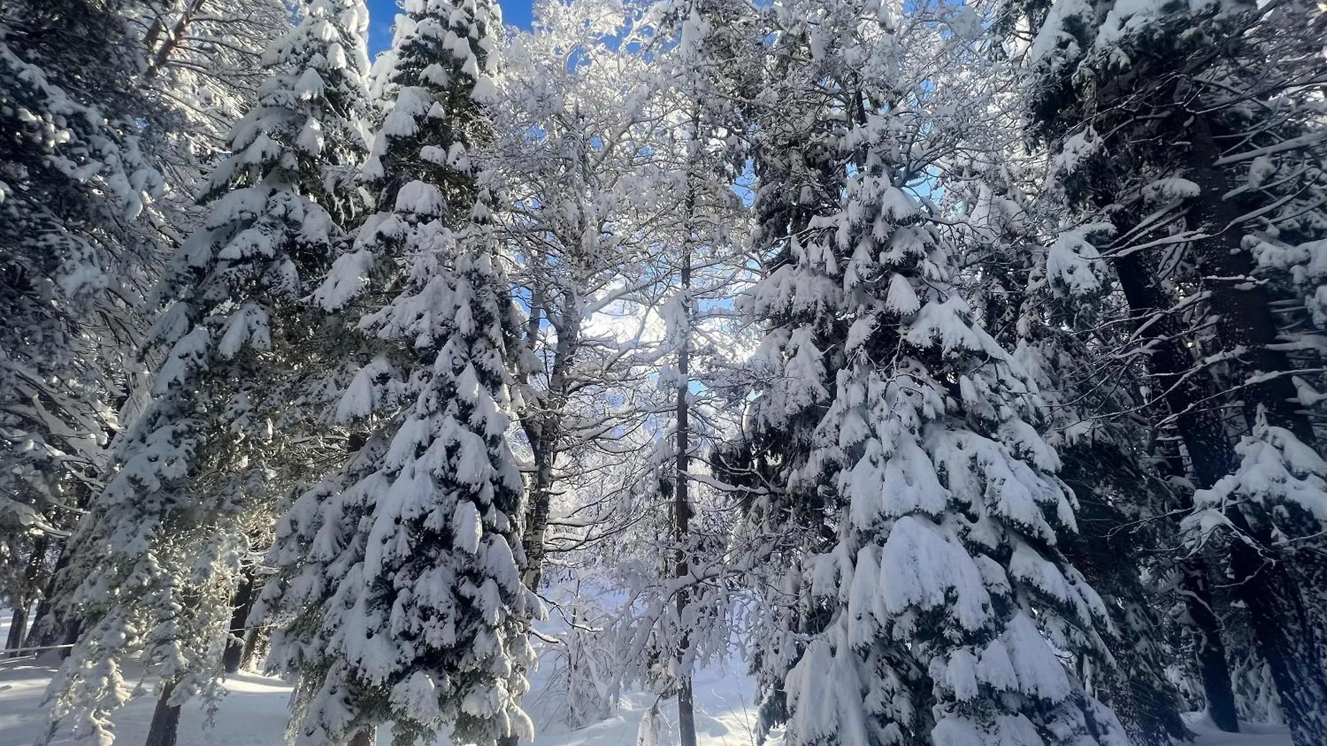 Σπίτι διακοπών 3685S River View Retreat South Lake Tahoe Ηνωμένες Πολιτείες της Αμερικής