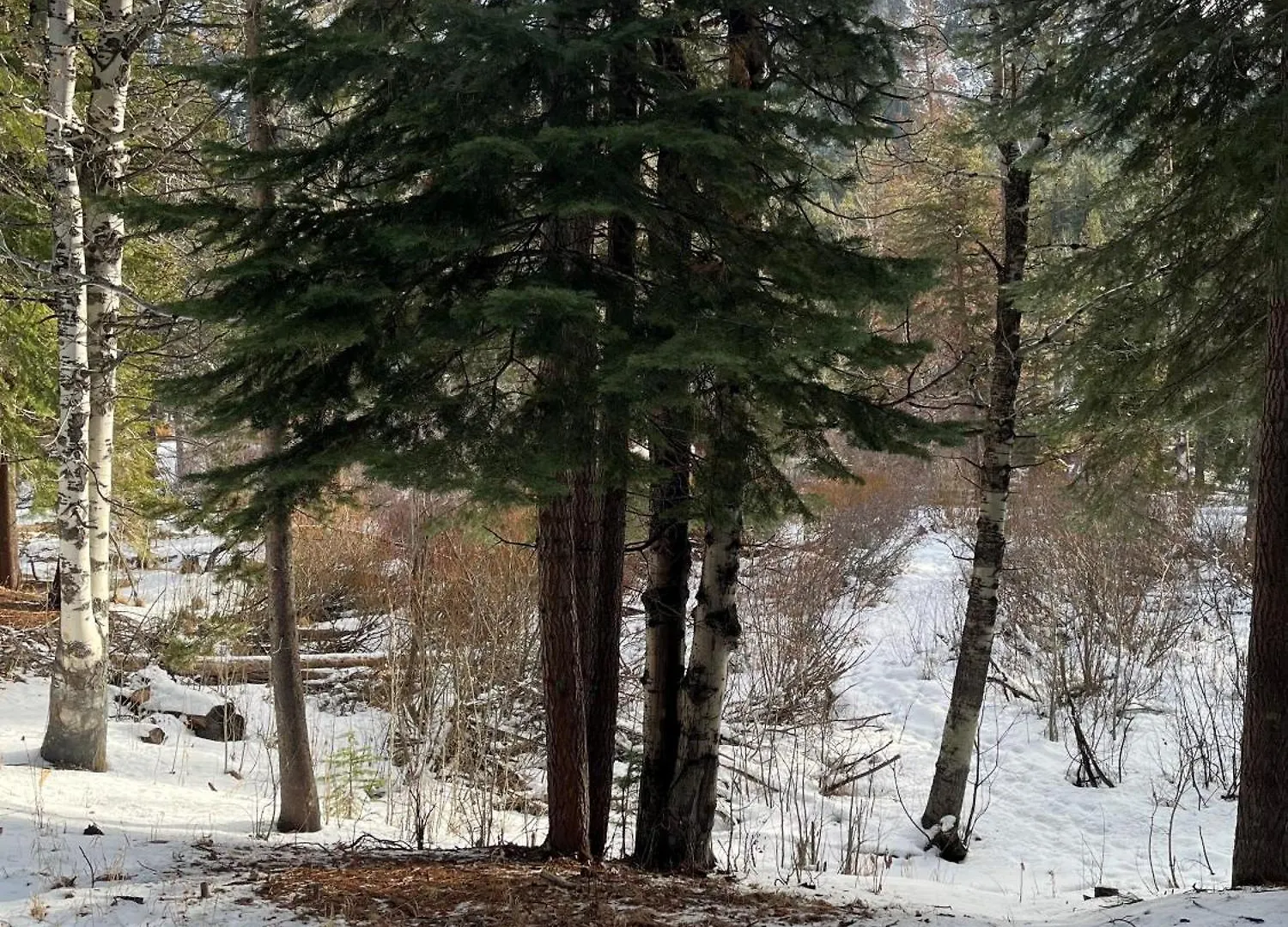 Holiday home 3685S River View Retreat South Lake Tahoe